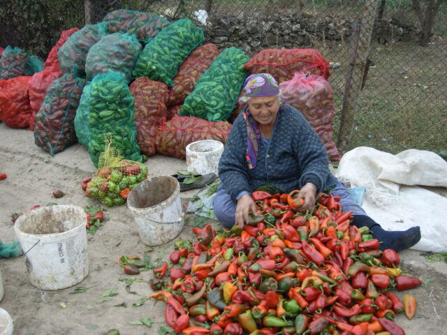 Collection Ulrich Gansert - 2013 - Familles Roms - Roumanie