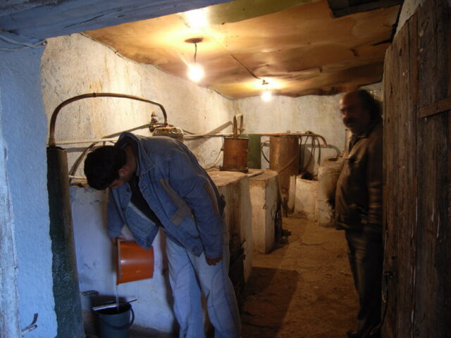 Collection Ulrich Gansert - 2013 - Familles Roms - Roumanie