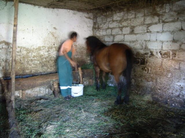 Collection Ulrich Gansert - 2013 - Familles Roms - Roumanie