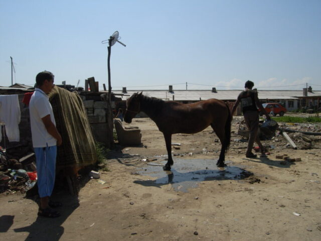 Collection Ulrich Gansert - 2013 - Familles Roms - Roumanie